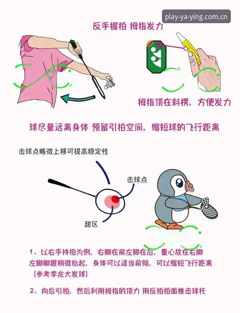 亚盈体育使用教程 亚盈体育使用教程最新动态:从下载到实战的全维度操作指南